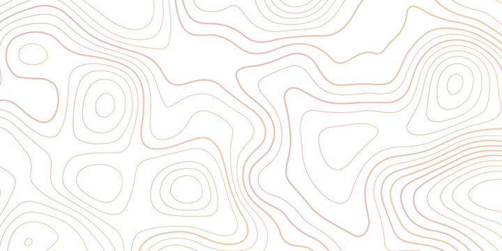 Topographic map background geographic line map with seamless ornament design. vector geographic contour map. geographic mountain relief diagram line wave carve pattern.