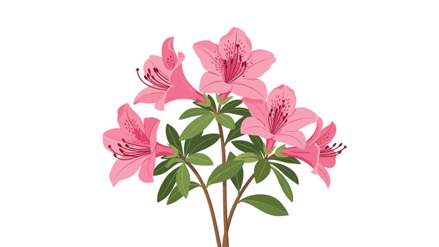 Cluster of beautiful pink azalea flowers with green leaves is shown in a soft vector illustration, representing spring bloom and floral elegance.