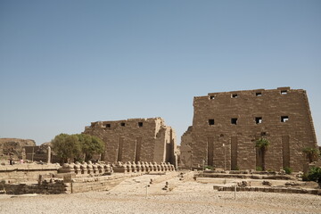 Obraz premium Travel to Ancient world of egypt