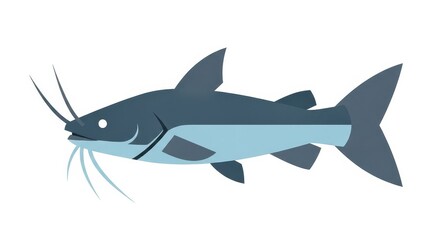 Obraz premium Stylized illustration of a freshwater fish with prominent barbels against a white background