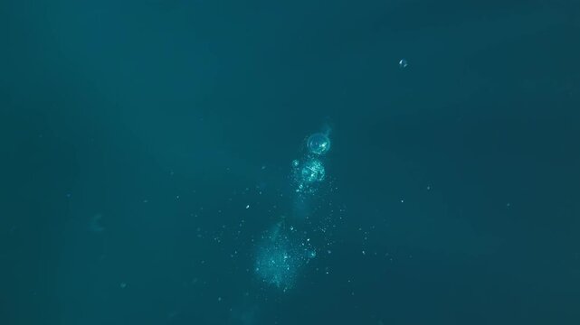 Cinematic slow-motion view traveling through underwater bubbles in the open ocean. Textured blue water and floating air particles create a relaxing marine scene.