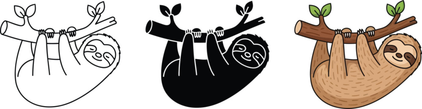 Set of three sloth illustrations including outline silhouette and colored cartoon styles hanging on a tree branch for diverse design applications