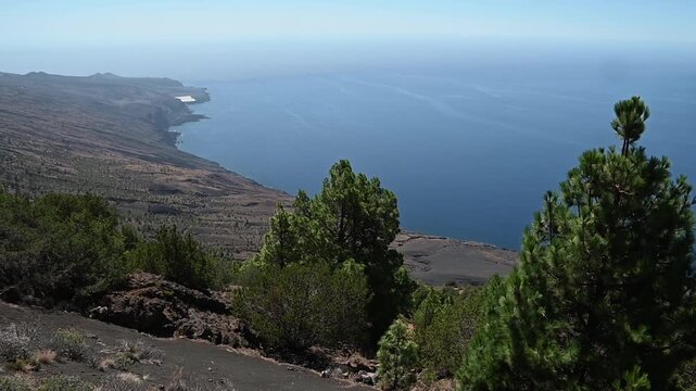 Panor&aacute;mica de la costa de El Hierro con pinar y oc&eacute;ano Atl&aacute;ntico