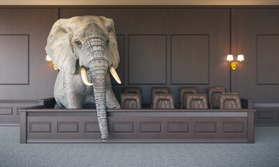 Elephant in the jury box 3d obvious problem
