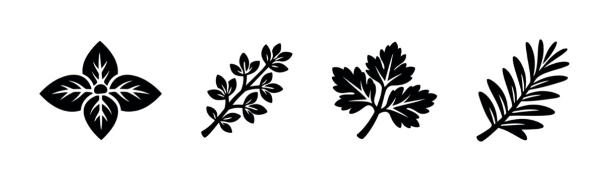 Herbs and leaves silhouettes collection, flat vector illustration