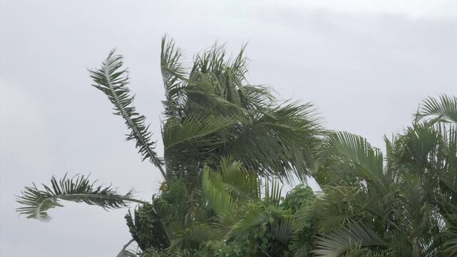 Ouragan en guadeloupe