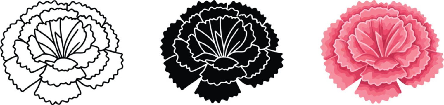 Collection of carnation flower icons including outline silhouette and color vector graphics for design use