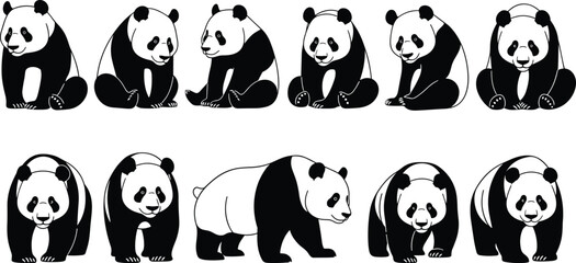 Set of cute giant panda bear silhouettes, black and white vector animals sitting and standing, isolated wildlife illustration collection on white background © Shilpi