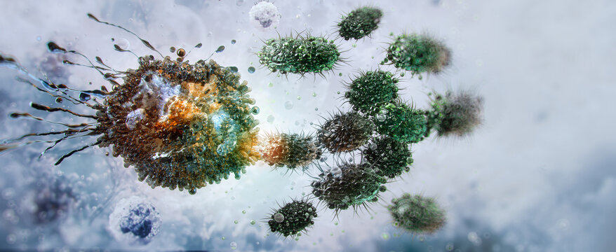 Immune cell phagocytosis of pathogenic bacteria: host defense mechanism during microbial infection in aqueous tissue environment. Interaction between a phagocytic leukocyte and clustered microbes