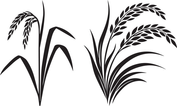 Two Black Stylized Rice Plant Silhouettes Vector