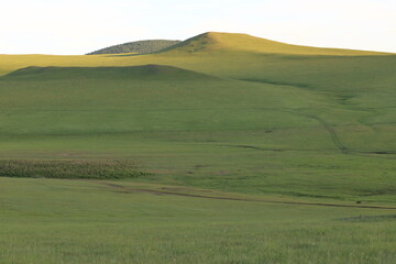 Fototapeta premium Grasslands in Hulunbuir region, Inner Mongolia