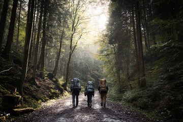 Hikers walk along a forest trail under natural sunlight during the day Generative AI