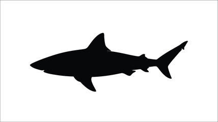 Obraz premium Black shark swimming in ocean waters a dramatic silhouette