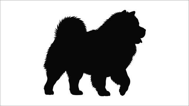 A striking black silhouette of a fluffy chow chow dog