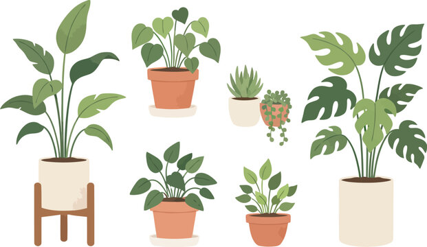 Indoor potted house plants collection, set of flowers, potted indoor houseplants collection, potted plants, potted plants set vector, vector illustration