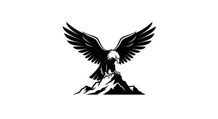 Obraz premium Eagle soaring silhouette