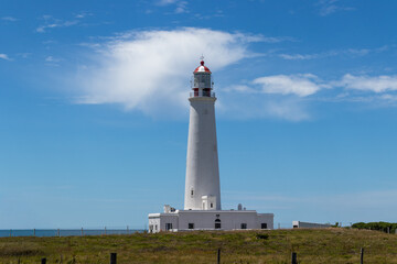 La Paloma, Uruguay &ndash; Wildlife and Coastal Landscape	