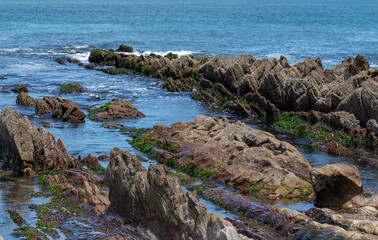 La Paloma, Uruguay &ndash; Wildlife and Coastal Landscape	