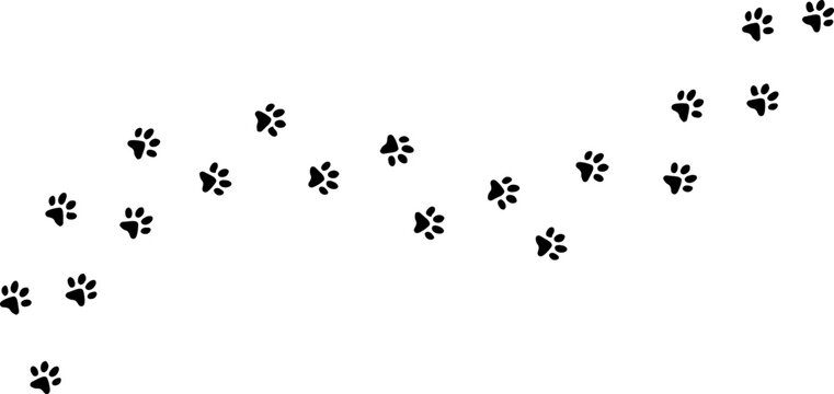 A black paw print with a white background showing animal footprint and claw marks in simple design