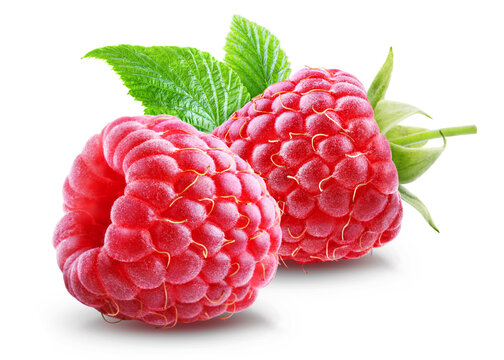 Two juicy ripe raspberries with leaf isolated on transparent background.