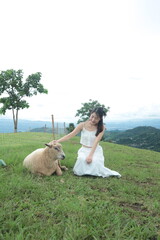 Naklejka premium A woman is sitting on the grass next to a sheep