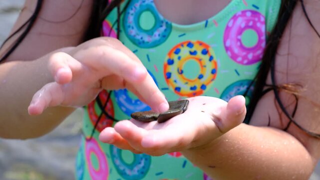 Child girl wearing cute multicolored swimsuit playing on the beach and throwing stones into the river, skimming stones. Investigating details of nature .
