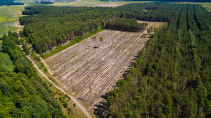 illegal deforestation view from the drone © Polivan