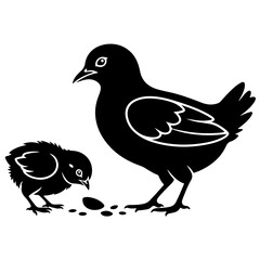 Obraz premium Black silhouette of mother hen and small chick pecking seeds on ground flat vector illustration isolated on white background for farm design decor