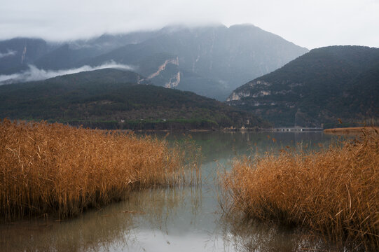 Juncos de lago Terradets al atardecer todo nublado y con neblina.