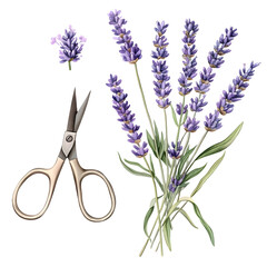lavender flowers with scissors still life
