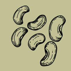 kidney beans vector