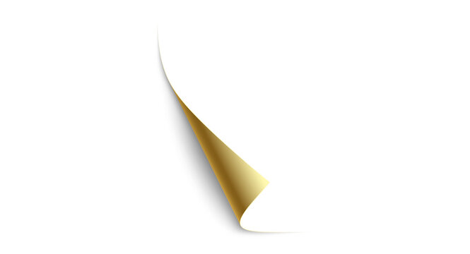 Blank page with curled edge corner and shadow	