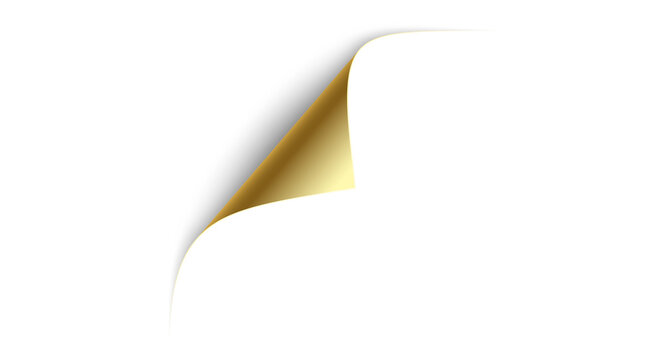 Blank page with curled edge corner and shadow	