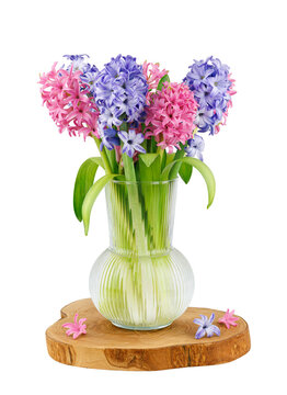 Bouquet of pink and blue hyacinths in a glass vase on a wooden stand on transparent background