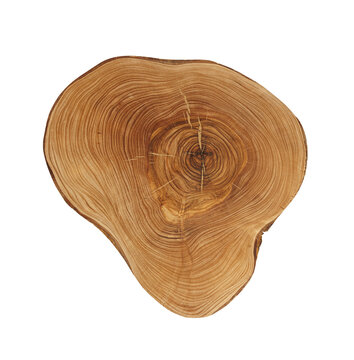 Natural wooden cutting board with tree rings isolated on transparent background, top view