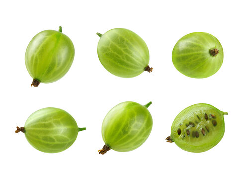Green gooseberries isolated on transparent background with whole and cut fruit