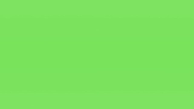 Green Screen Background with Butterfly Effect.
