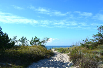Strandweg, Vegetation, Bewuchs, Sand, Meer, Himmel