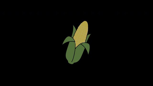 Minimalist Video Animation of a Single Ear of Corn on a Black Background