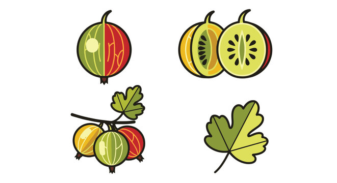 Gooseberry Line art vector modern style