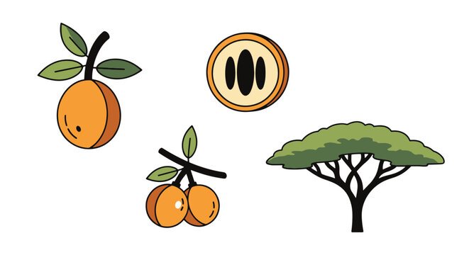 Marula Line art colorful