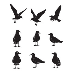 Seagull Silhouettes Collection: Flying and Standing Poses, Minimalist Vector Graphics