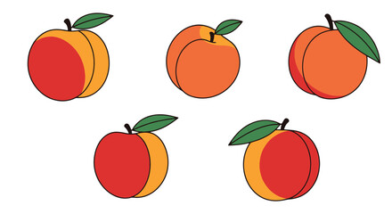 Peach Line art filed color clean design © Lovely