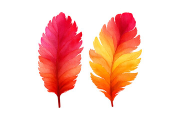 Two vibrant feathers with gradient colors ranging from red to orange and yellow on a transparent background