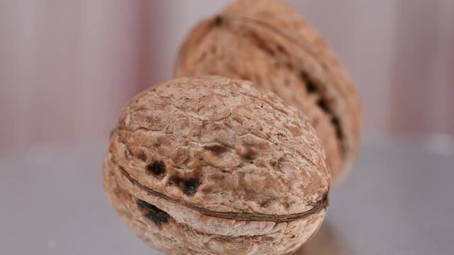 video of a walnut in its shell