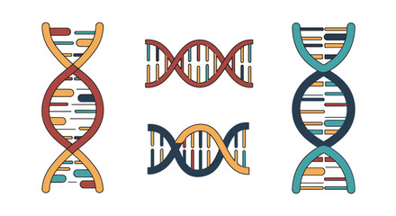 DNA Strand Line art creative color filled design