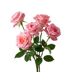 Obraz premium Roses in a Simple Arrangement With Three Pink Flowers and Green Leaves in a Plain Setting