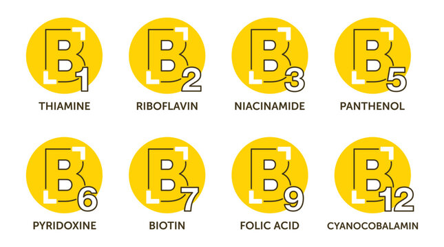 Vitamin B complex labels set in thin line and yellow fill