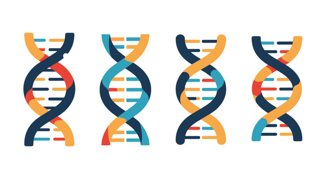 DNA Helix Line art color minimal style