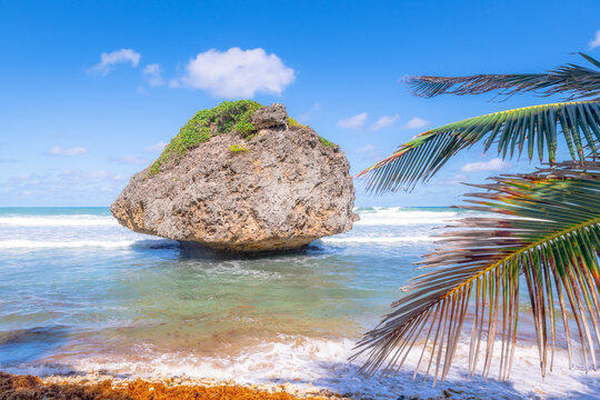 A large rock in the water on the Barbados coastline
